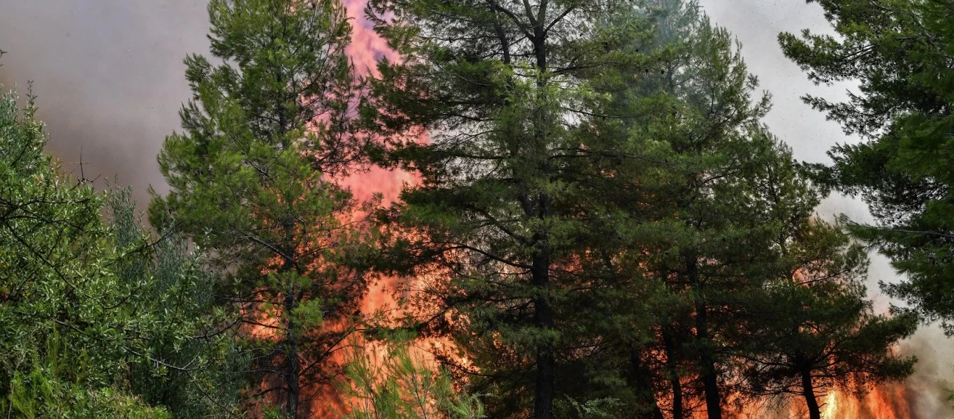 Εύβοια και Γορτυνία: Περιμένουν από... τη βροχή να σβήσει τις φωτιές - Φόβος για πλημμύρες